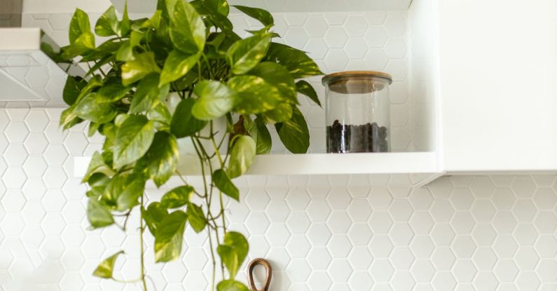 Organized Home - Hanging Plant on a Multilevel Shelves